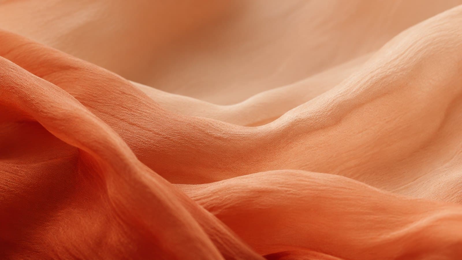 Texture